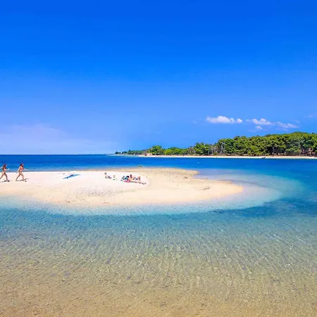 Drazen 公寓 法扎纳